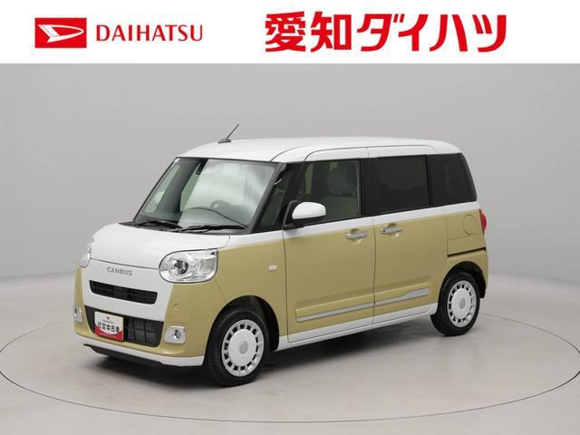 ムーヴキャンバス  ストライプス G