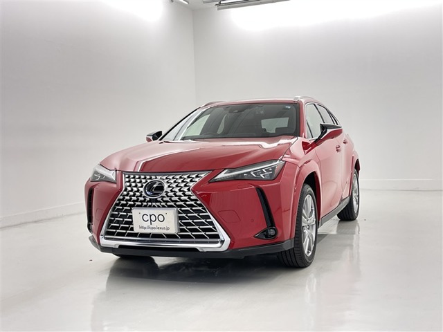 UX 250h グレイスフル エクスプローラー