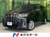 100V電源 レーダークルーズ LEDヘッド 純正18インチアルミ