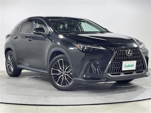 NX 250 バージョンL 本革シート 修復歴無し