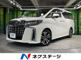 10型ナビ ガラスルーフ 両側電動ドア 後席モニター