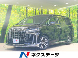 純正10型ナビ バックカメラ レーダークルーズ 両側電動ドア 禁煙車