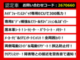 エルグランド 3.5 ライダー ハイパフォーマンススペック 黒本革シート 
