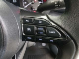ステアリング右側には、運転支援機能を手元で操作できるスイッチ類を配置しています