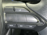 各操作スイッチなどもハンドルから手を放すことなく操作可能で安全運転に支援いたします!