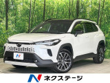 ガラスルーフ バックカメラ 100V電源 衝突軽減 レーダークルーズ