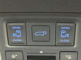 両側自動ドア パワーバックドア