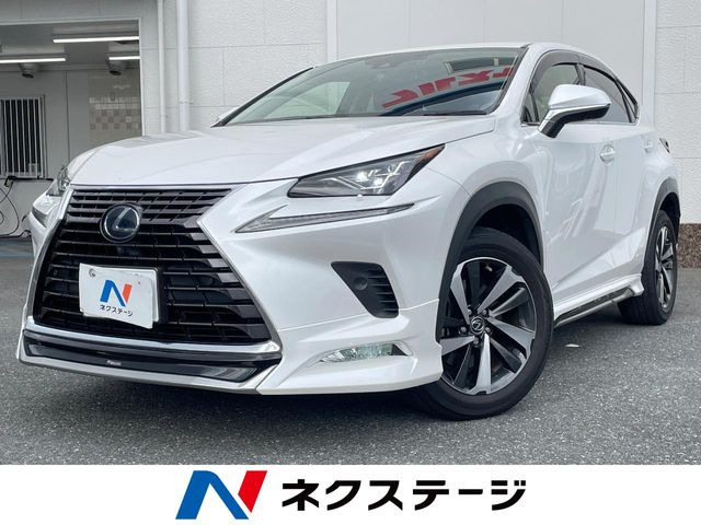 NX 300h Iパッケージ 