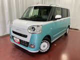 ムーヴキャンバス  ストライプス G
