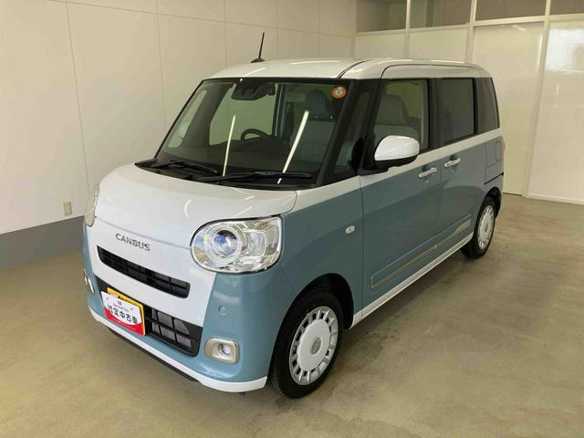 ムーヴキャンバス  ストライプス G