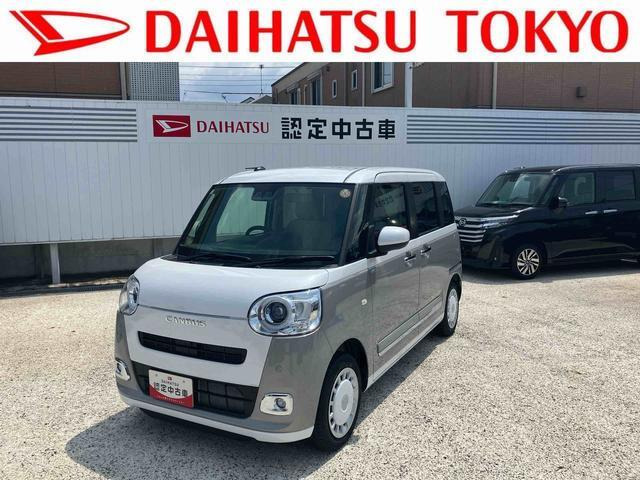 ムーヴキャンバス  ストライプス G