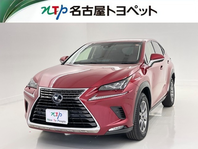NX 300h Iパッケージ