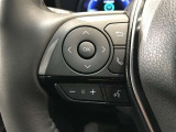 ステアリングスイッチ付き。前方から目を離すことなく操作することが可能です。