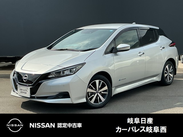 リーフ X 