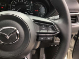 レーダークルーズコントロールを装備。アクセルやブレーキを操作しなくても、自動で先行車との車間距離を保ち追従走行できます。長距離や高速道路を運転する際に、ドライバーへの負担を軽減します。