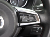 高速道路などで設定した速度を自動で維持してくれる機能です!!