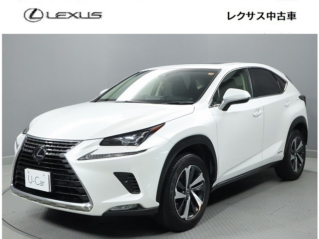NX 300h バージョンL 