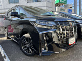 鋭く勢いのある目つきが印象的なデザインのヘッドランプです。