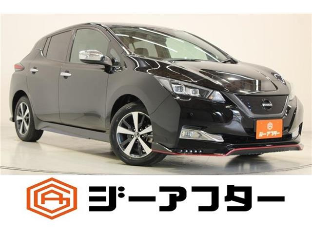 リーフ e+ X NISMOフルエアロ BOSEサウンドシステム