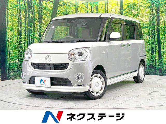 ムーヴキャンバス G メイクアップ リミテッド SAIII 