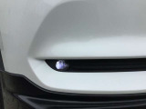 LEDフォグランプ装着車です