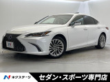ムーンルーフ ハンズフリーパワーバックドア 純正12.3インチナビ