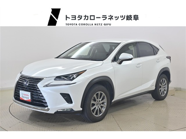NX 300h Iパッケージ 