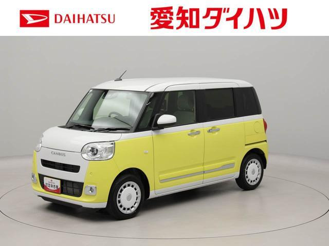 ムーヴキャンバス  ストライプス G