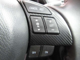 ステアリングスイッチで、先行車に自動追従するアダプティブクルーズコントロールが作動可能。設定した車速内での車間距離を自動で調整・維持。高速道路の渋滞時もアクセル・ブレーキ操作から解放されます。