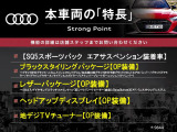 SQ5スポーツバック 3.0 4WD エアサスペンション装着車