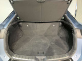 レクサス車らしい細部までこだわった高級感と見る人を一目で虜にするエモーショナルな魅力を持ち合わせております。