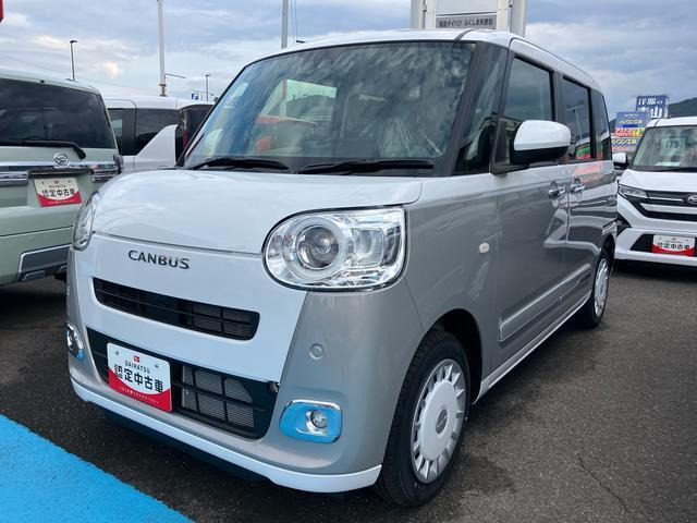 ムーヴキャンバス  ストライプス G