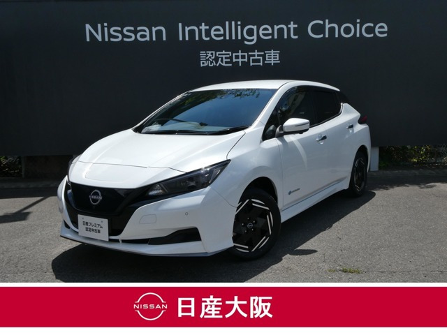 リーフ e+ X 