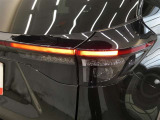 LEDテールライトです。省電力、高輝度のLEDは明るく照らすので夜間運転時の視認性を高めます。スタイリッシュな見た目で細かいところもこだわりたいあなたに!