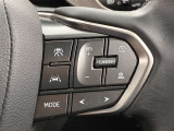 前方の車との車間を設定し、スピードを上げたり緩めたりを自動で行ってくれる追尾式の「レーダークルーズ」。上級装備の一つです!高級車にしかつかない嬉しい機能です。