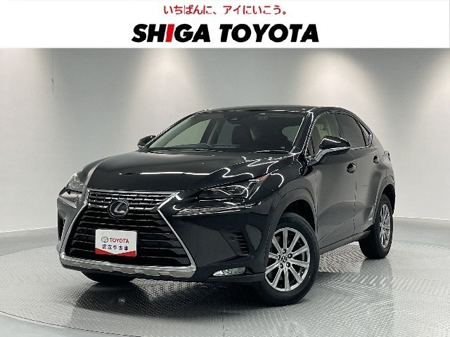 NX 300h Iパッケージ 