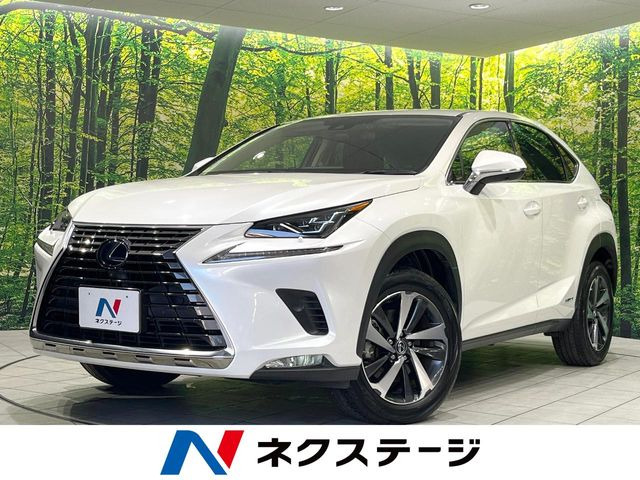 NX 300h バージョンL 