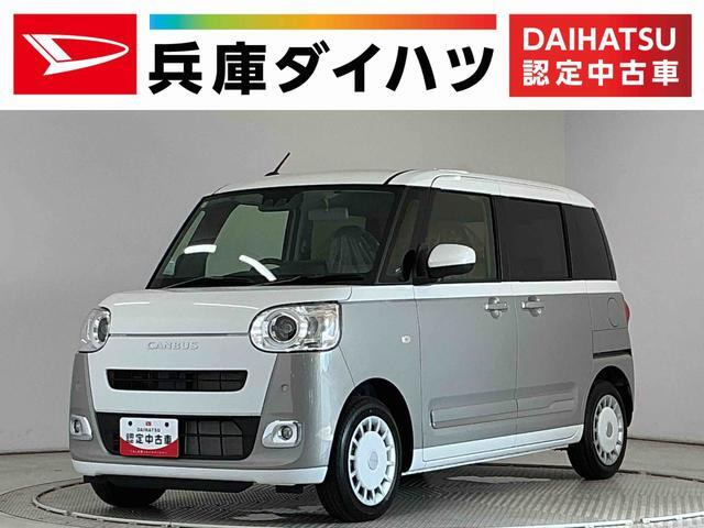 ムーヴキャンバス  ストライプス G