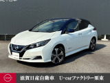 お手頃価格のリーフです