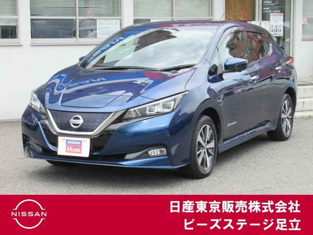 リーフ e+ X 