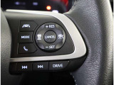 ステアリングスイッチ付き。前方から目を離すことなく操作することが可能です。
