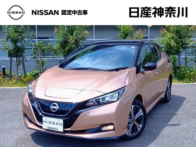 日産 リーフ 