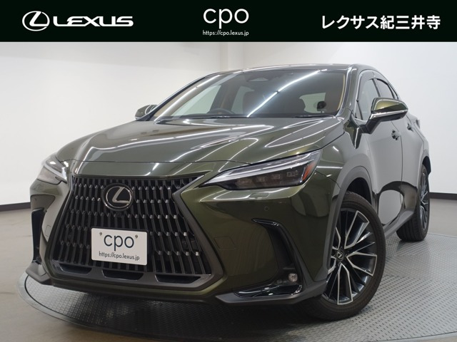NX 250 バージョンL NX 250 バージョンL