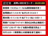 エルグランド 3.5 VIP サンルーフ メーカーナビ リアエンタメ 黒本革
