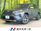 サンルーフ 純正10型ディスプレイオーディオ 全周囲カメラ 100V電源