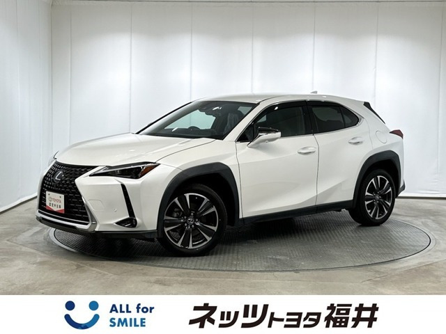UX 250h バージョンC
