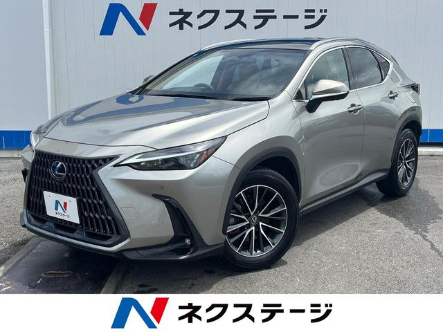 NX 250 