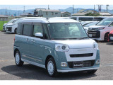 ムーヴキャンバス  ストライプス G
