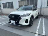 左前から見るとこんな感じです。