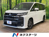 快適利便PKG バックカメラ 両側電動ドア 100V電源
